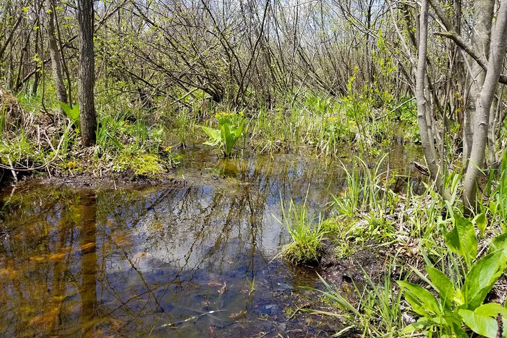Dell Creek Wildlife Area