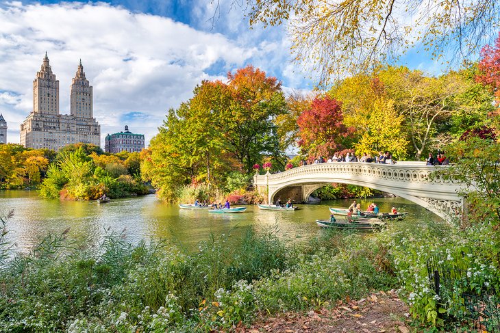 Couleurs d'automne dans Central Park à New York
