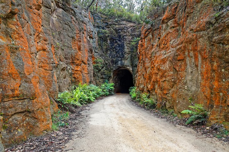 Glow Worm Tunnel, Wollemi National Park