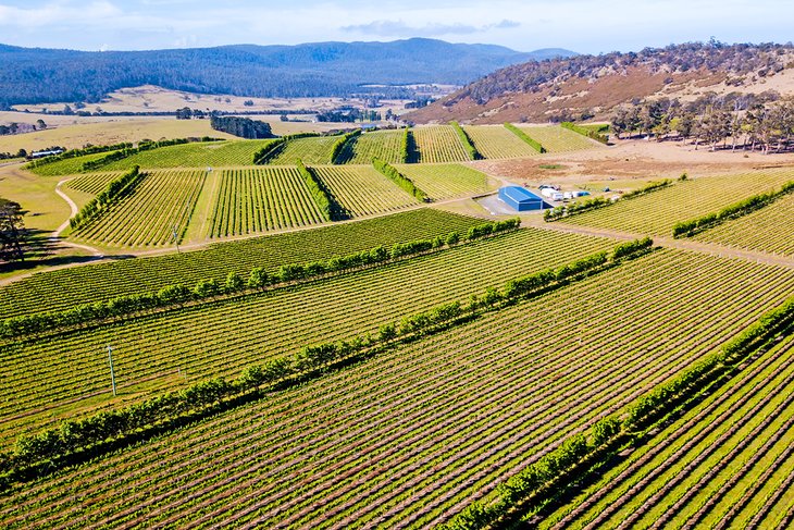 Aerial view of the Barossa Valley