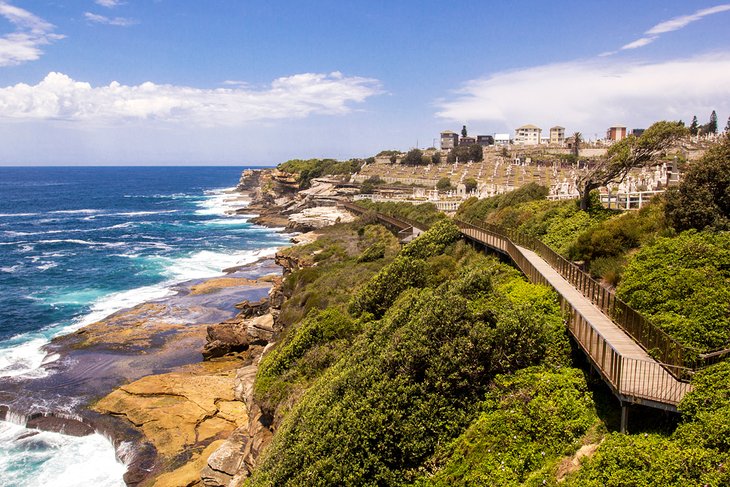 Bondi to Coogee Coastal Walk, Sydney