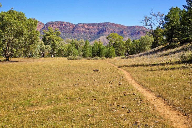 Yuluna Hike, part of the Heysen Trail in the Flinders Ranges