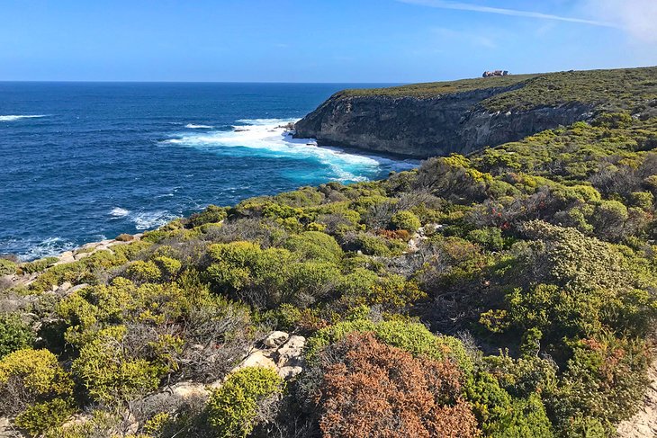 Kangaroo Island Wilderness Trail