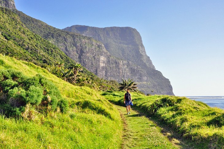 Mount Gower hike, Lord Howe Island