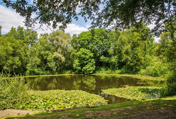 Lone Tree Crater, Wijtschate