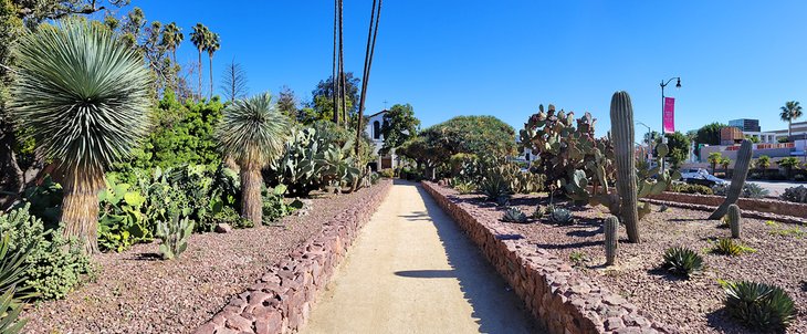 Cactus garden in the Beverly Gardens Park