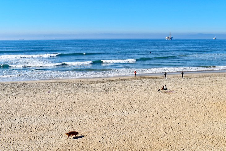 Huntington Dog Beach