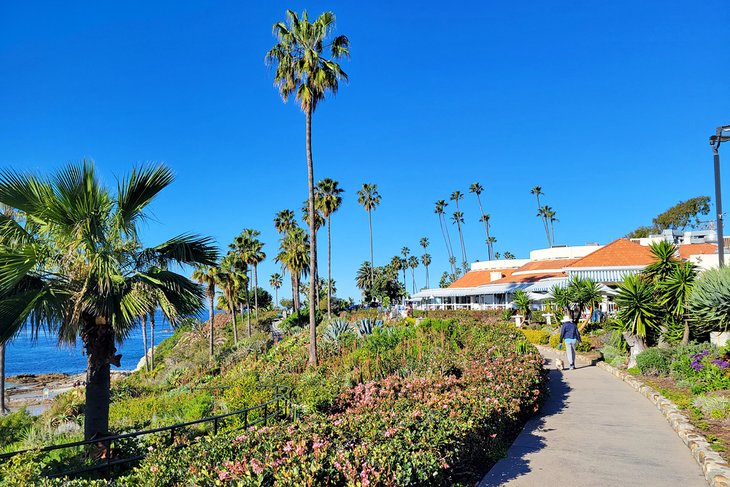 Path through Heisler Park