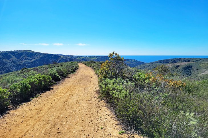 View of the Pacific Ocean from Laguna Coast Wilderness Park