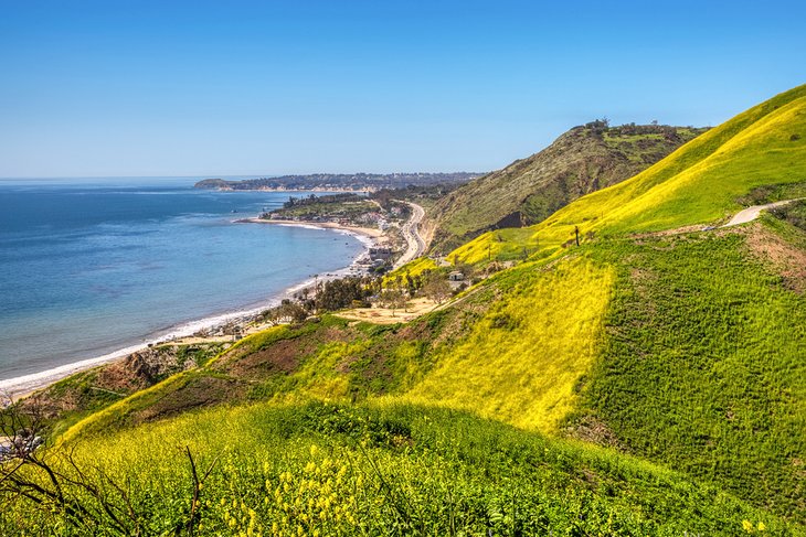 Corral Canyon, above Dan Blocker Beach