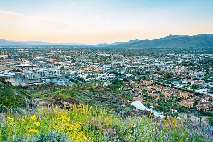 View of Downtown Palm Springs from the Skyline Trail