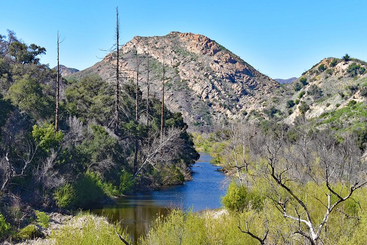 Malibu Creek State Park