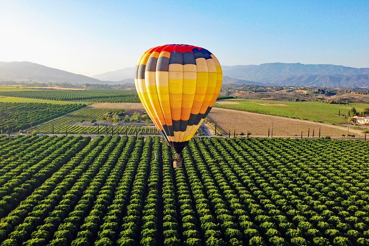 Hot Air Balloon Temecula