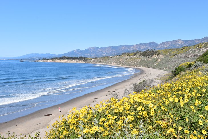 Rincon Beach County Park