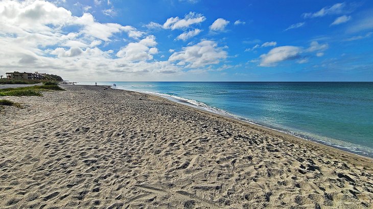 Turtle Beach, Siesta Key