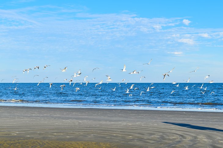 Beach near Sea Island Beach Club