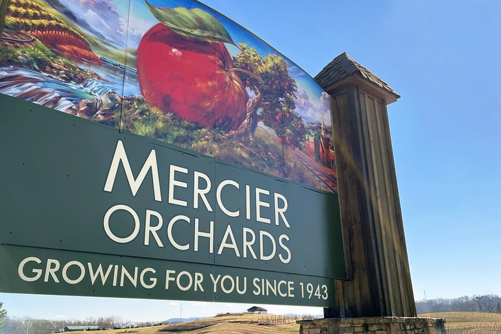 Mercier Orchards