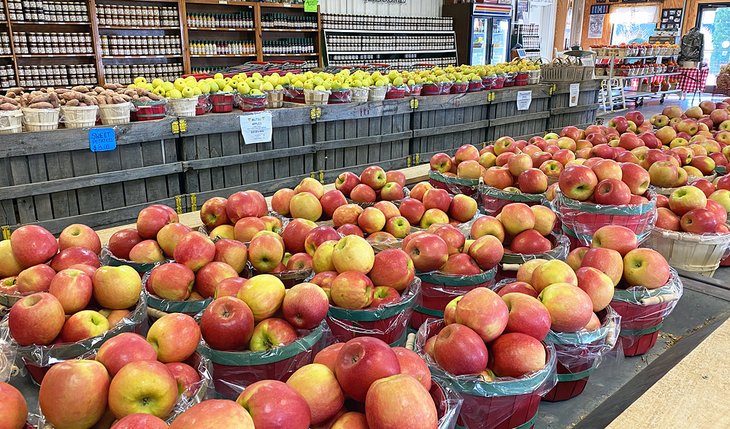 Apples for sale at R&A Orchards