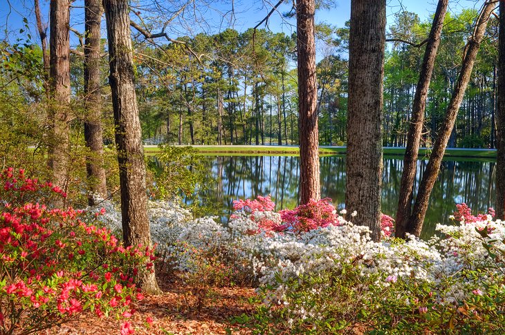 Callaway Gardens