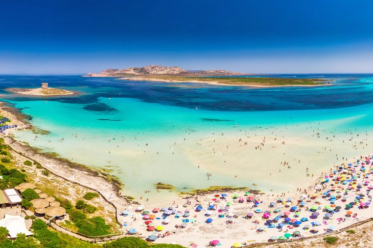 Aerial view of La Pelosa beach in Sardinia