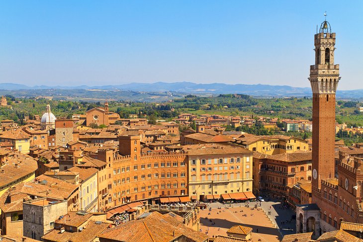 Piazza del Campo, Siena