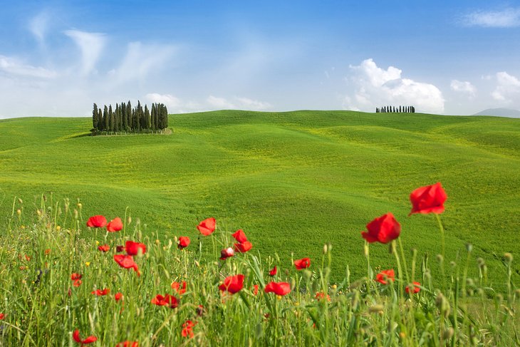 Idyllic landscape in Val D'Orcia, Tuscany