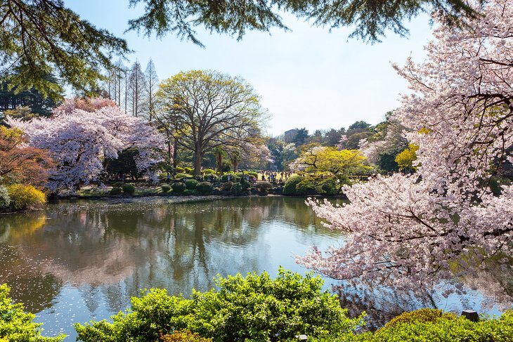 Shinjuku Gyoen National Garden