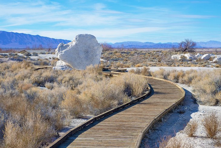 Boardwalk in Ash Meadows National Wildlife Refuge