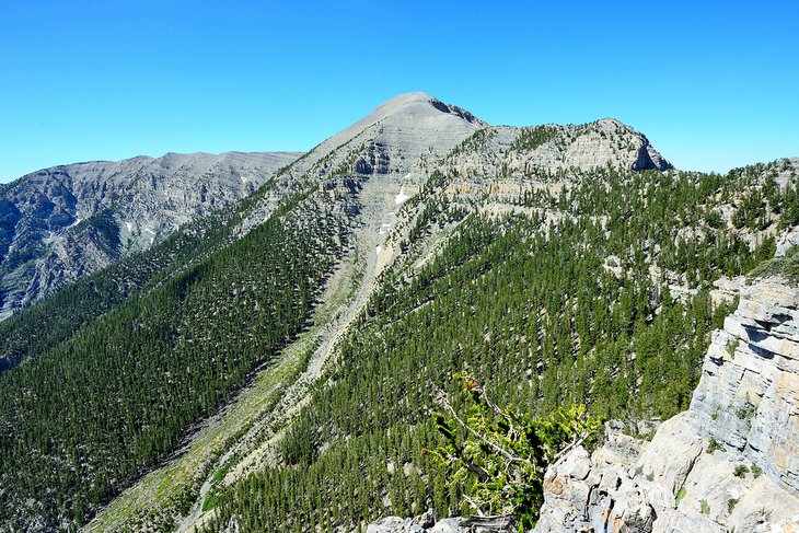 Mount Charleston