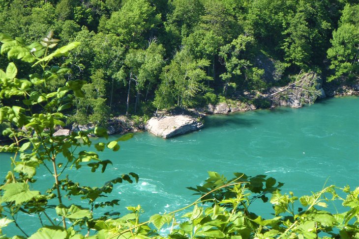 View of Niagara River from Devil's Hole State Park