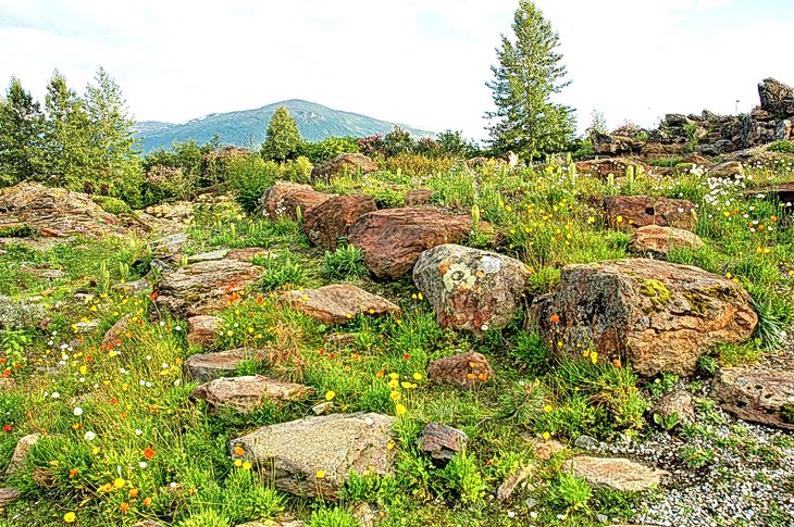 Arctic-Alpine Botanic Garden