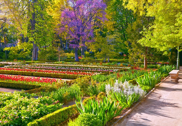 Real Jardín Botánico (Royal Botanical Garden)