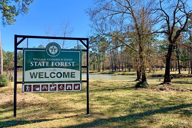 William Goodrich Jones State Forest