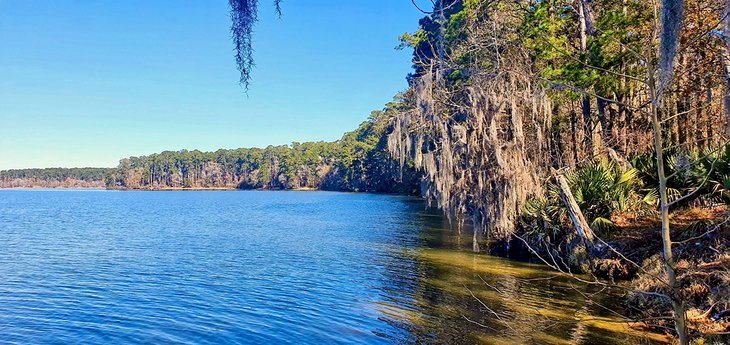 14 cosas mejor valoradas para hacer en Conroe, TX