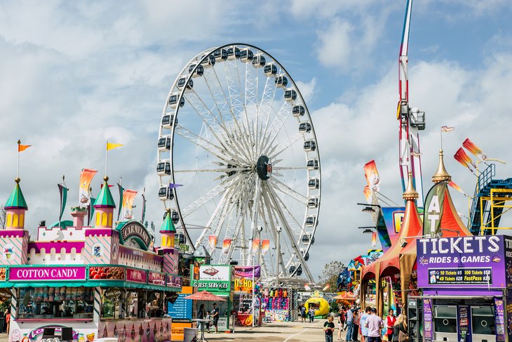 Houston Livestock Show and Rodeo