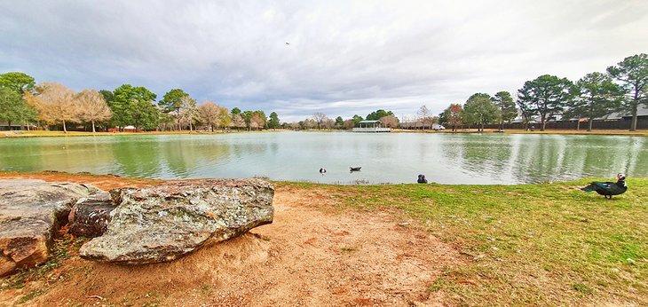 Mary Jo Peckham Park