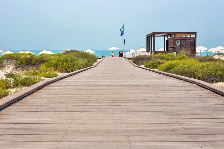 Path to the Saadiyat Beach Club