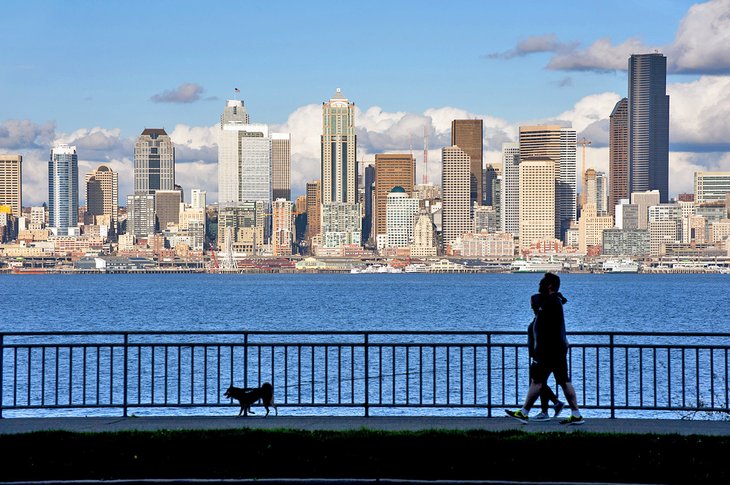 Couple walking their dog in Seattle