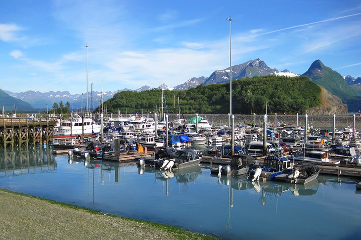 Valdez Harbor