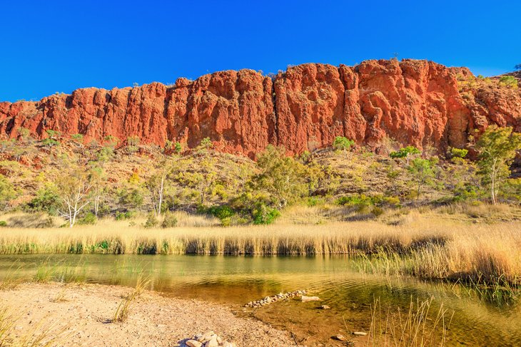 Glen Helen Gorge on the Larapinta Trail