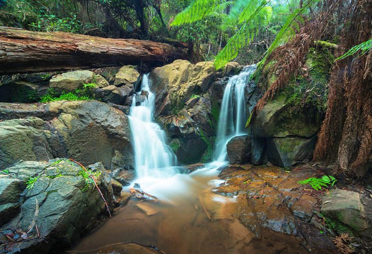 Olinda Falls