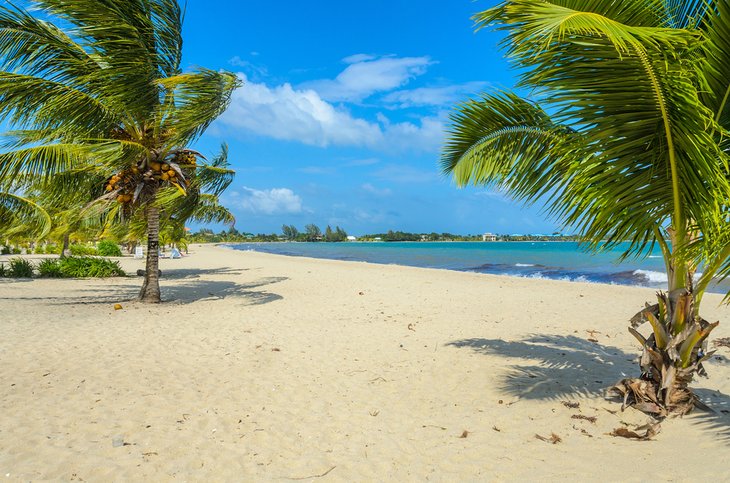 Paradise Beach in Placencia