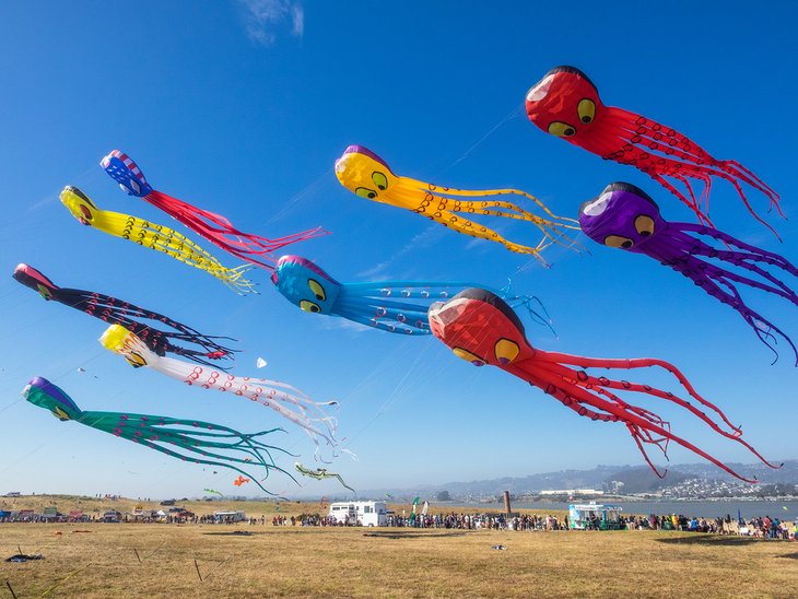 Berkeley Kite Festival at César E. Chávez Park