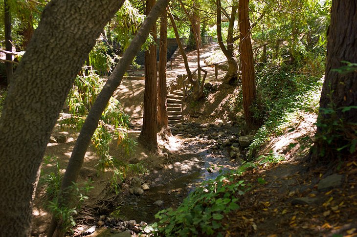 Live Oak Park in Berkeley