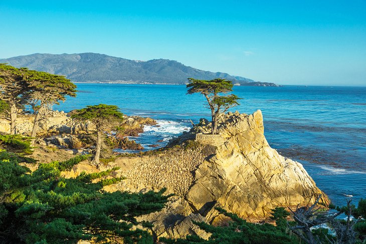 Lone Cypress, 17- Mile Drive