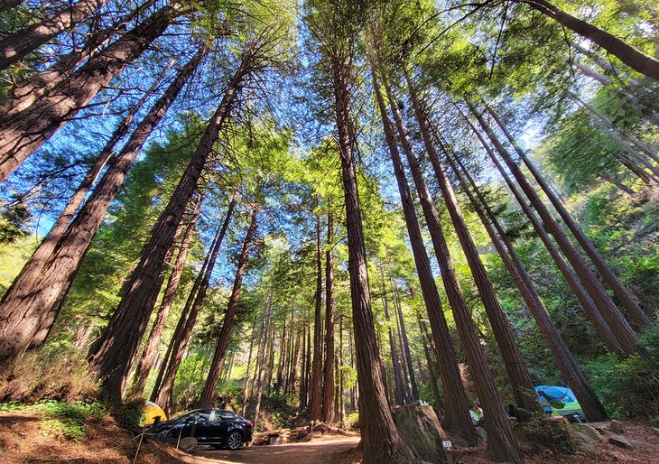 Campground at Limekiln State Park