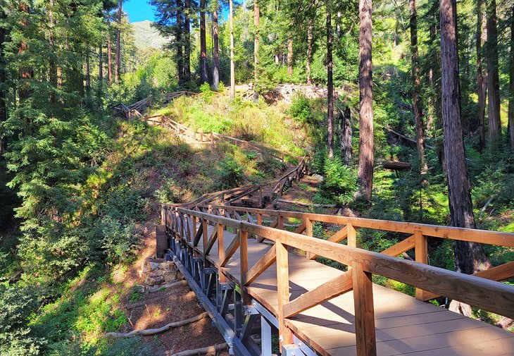 Pfeiffer Falls Trail