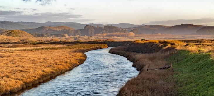 Pescadero Marsh Natural Preserve