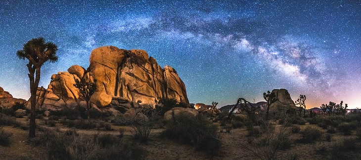 The Milky Way above Joshua Tree