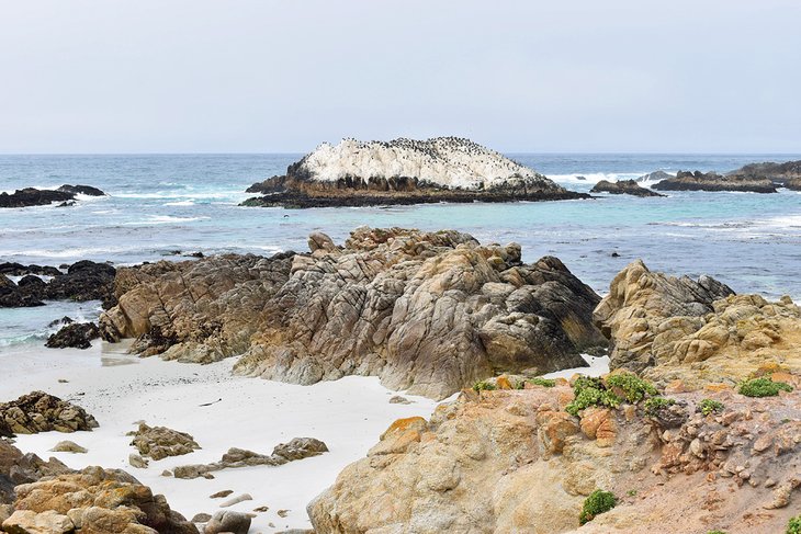 Bird Rock, 17-Mile Drive